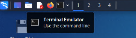 Kali Terminal